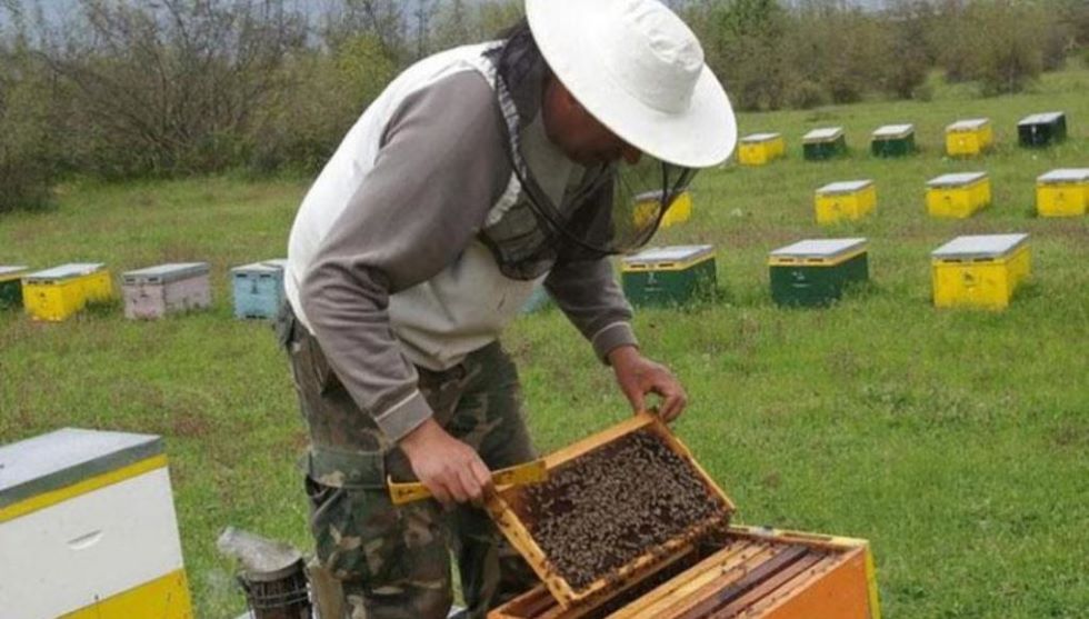 Βελτίωση των γενικών συνθηκών παραγωγής και εμπορίας των προϊόντων μελισσοκομίας για το 2022