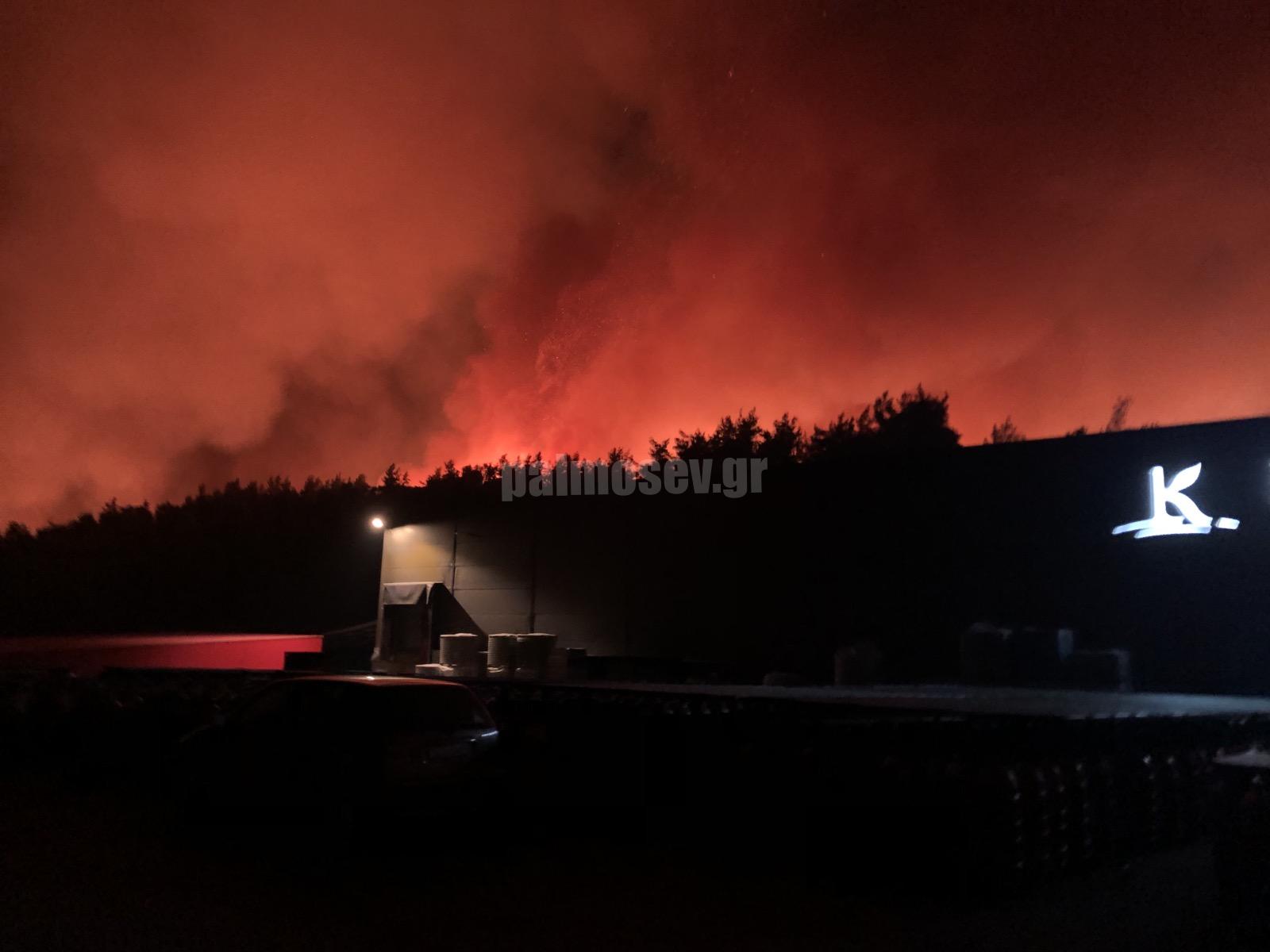 Πως σώθηκε το εργοστάσιο «Κεντρής» στη Στροφυλιά από τη φωτιά – Δημόσιο «ΕΥΧΑΡΙΣΤΩ» στους εθελοντές [video]